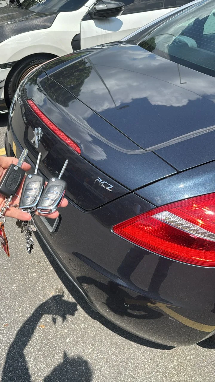 Cutting and programming a flip key remote for Proton car
